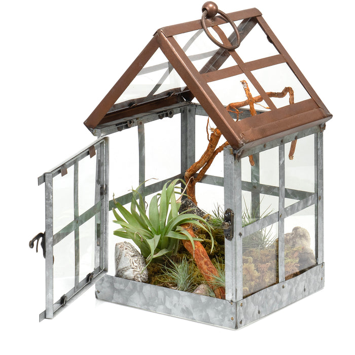 Red Co. 11β Tabletop & Hanging Metal Frame Succulent Display Terrarium Planter with Ring Handle