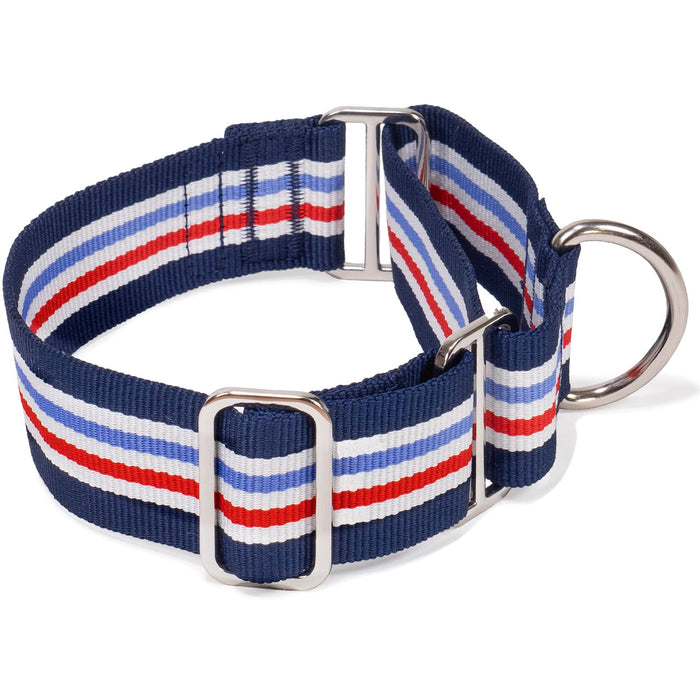 Red Co. 1.5” Adjustable Nylon Martingale Dog Collar with Striped Pattern