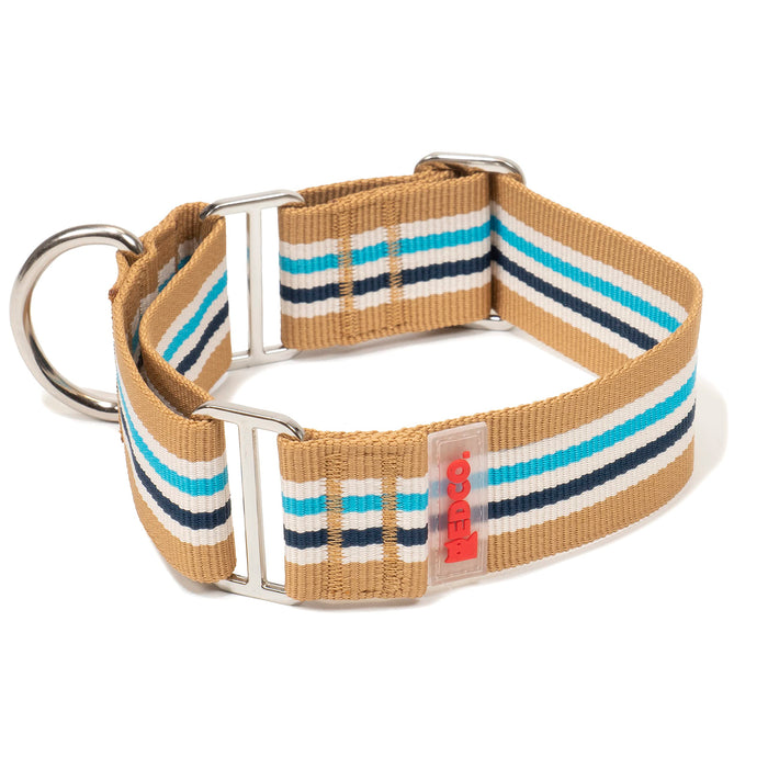 Red Co. 1.5” Adjustable Nylon Martingale Dog Collar with Striped Pattern
