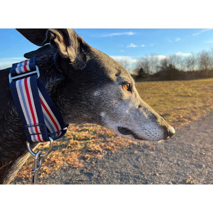 Red Co. 1.5” Adjustable Nylon Martingale Dog Collar with Striped Pattern