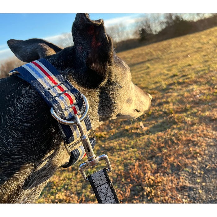 Red Co. 1.5” Adjustable Nylon Martingale Dog Collar with Striped Pattern