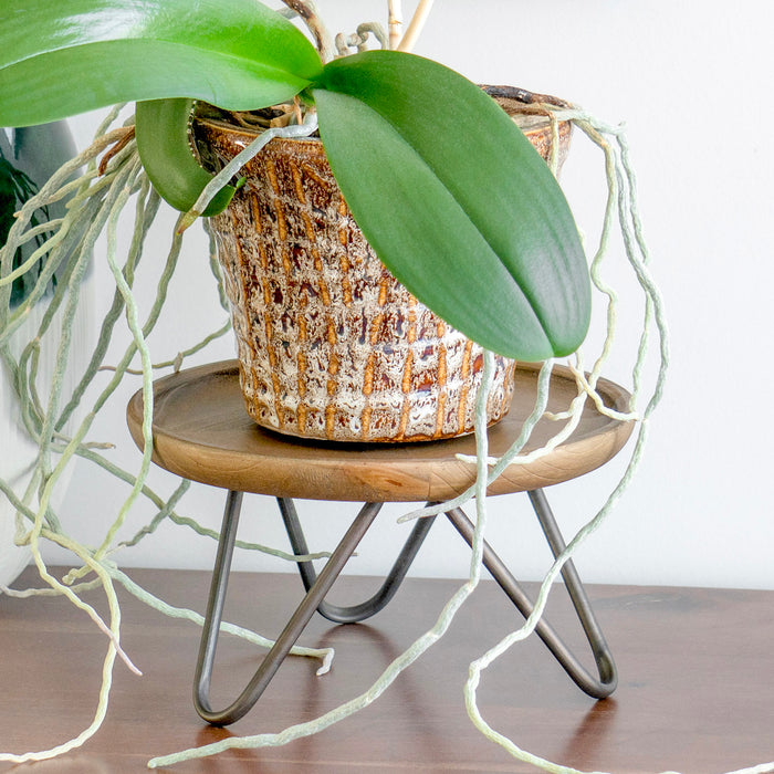 Red Co. 8.75” Dia Round Decorative Wooden Pedestal Plant Stand with Metal Pin Legs, Natural Brown