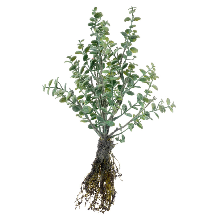 Red Co. Artificial Greenery with Root, Faux Herb Home Décor, 14 Inches