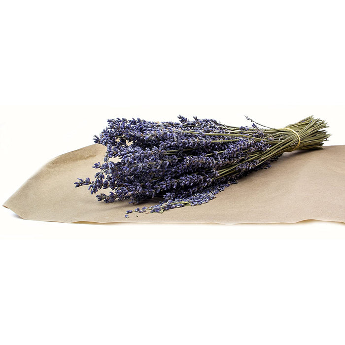 Red Co. Natural Décor Premium Dried Lavender Bunch, 16 Inches