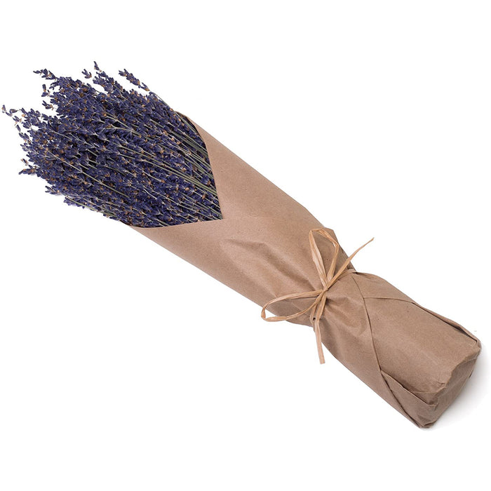 Red Co. Natural Décor Premium Dried Lavender Bunch, 16 Inches