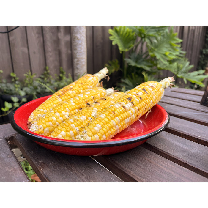 Red Co. Set of 4 Enamelware Metal 10” Round Camping Plates, White-Speckled Design